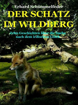 cover image of DER SCHATZ IM WILDBERG